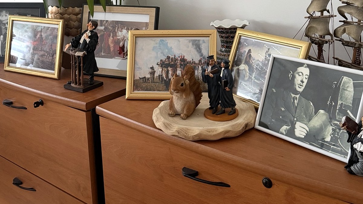 Éléments de décoration du cabinet de Maître Sefik TOSUN